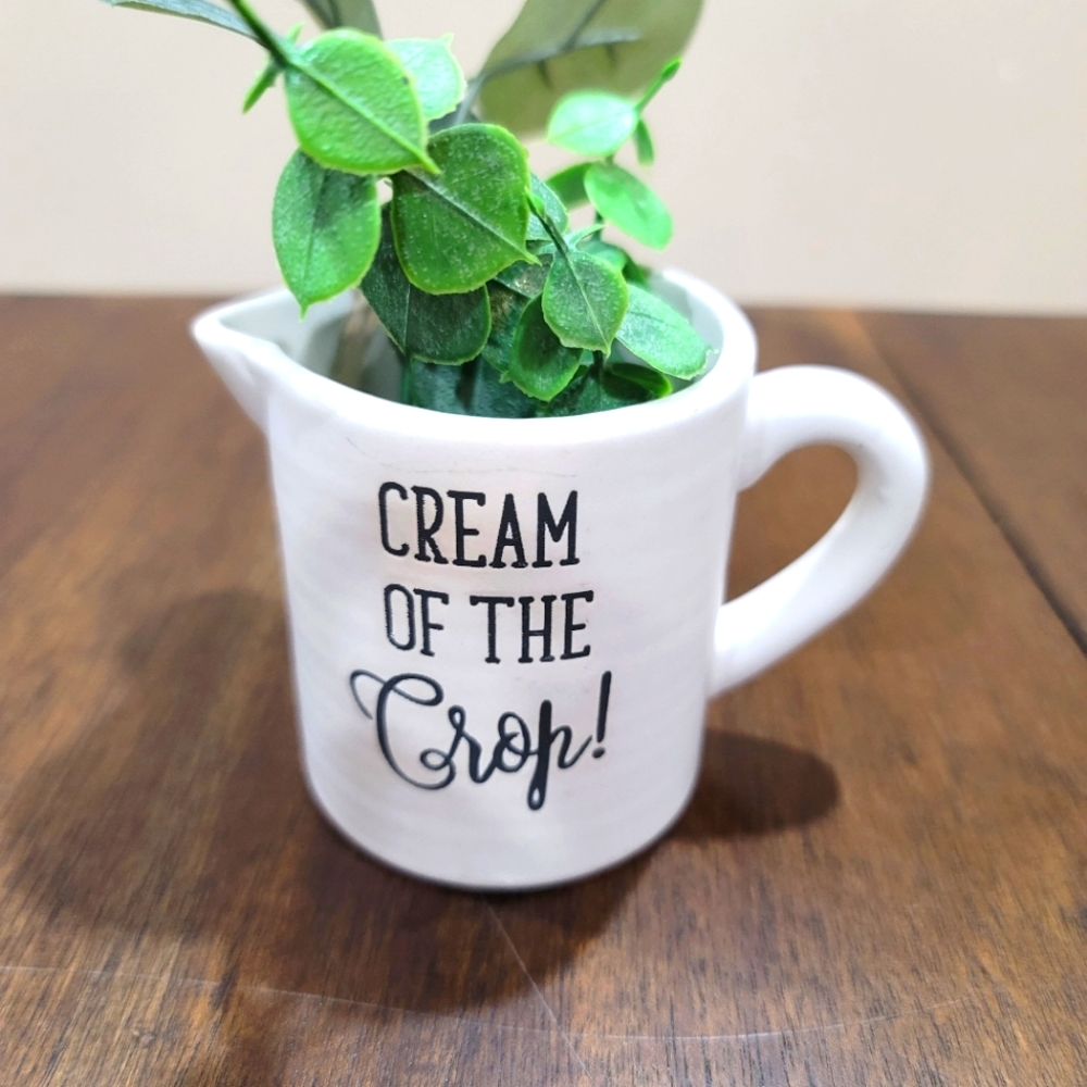 Farmhouse Ceramic Pitcher